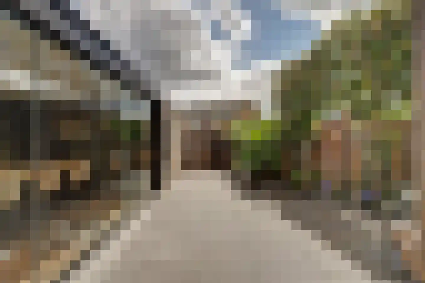 Goudplevier 1 Bodegraven thumbnail 21