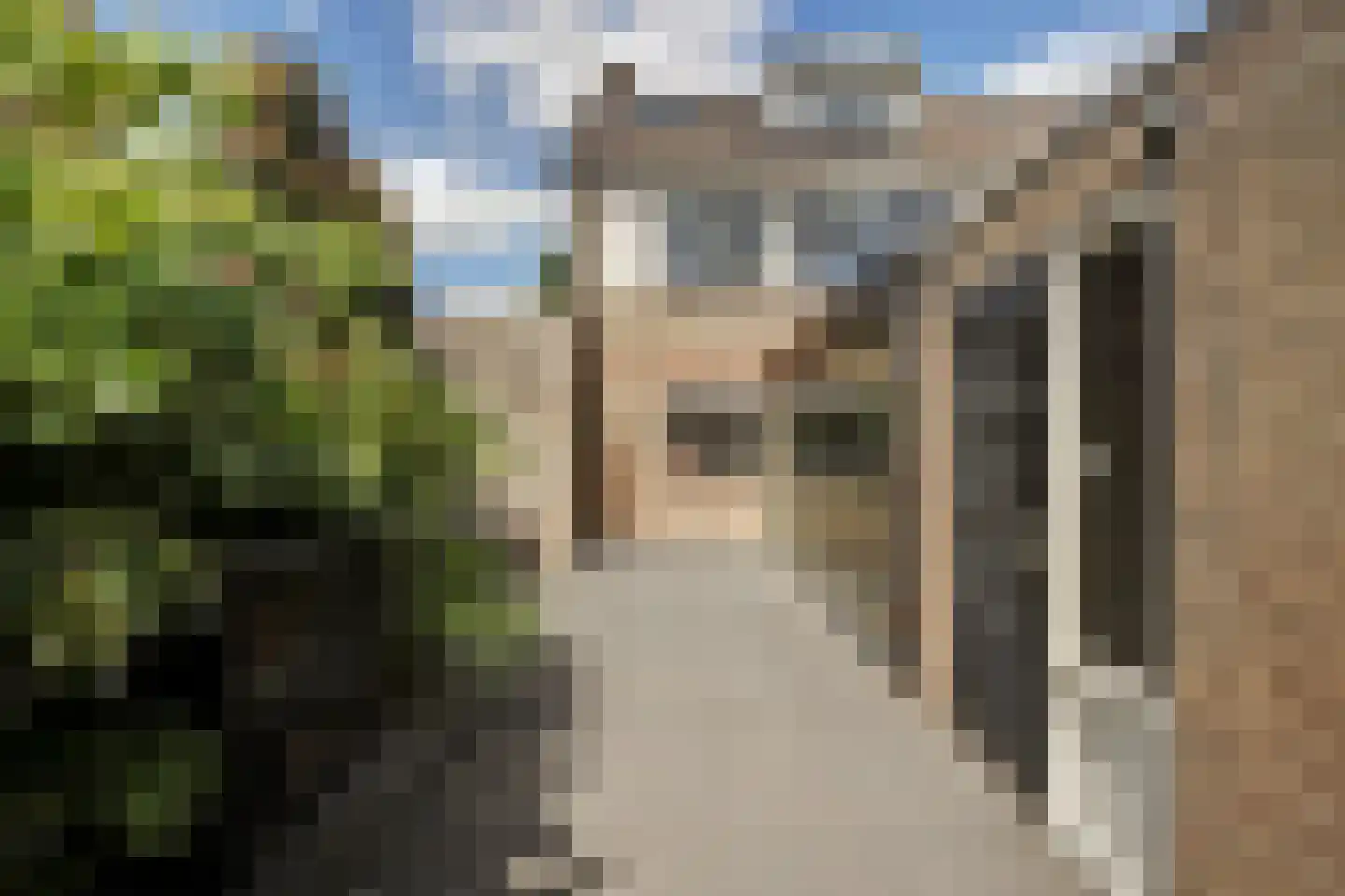 Goudplevier 1 Bodegraven thumbnail 22