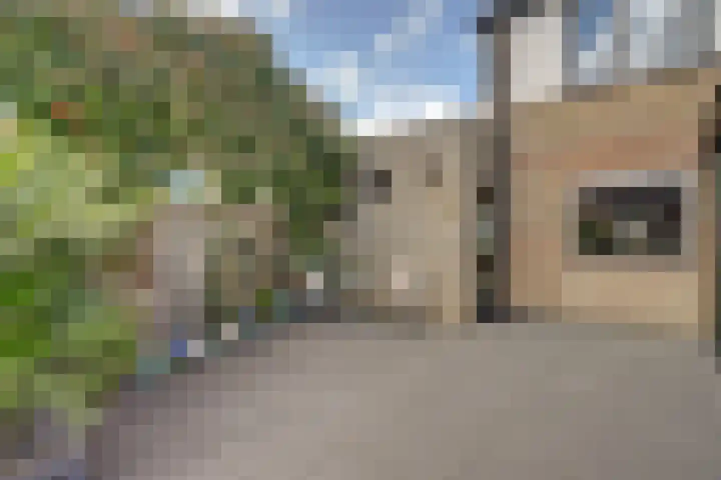 Goudplevier 1 Bodegraven thumbnail 23