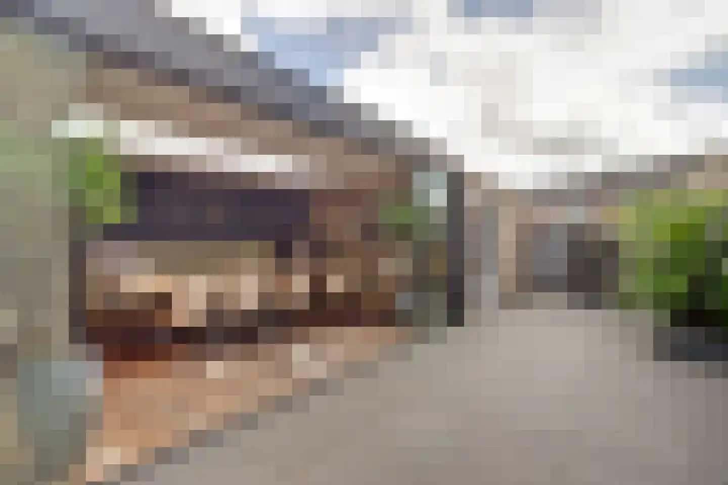 Goudplevier 1 Bodegraven thumbnail 24
