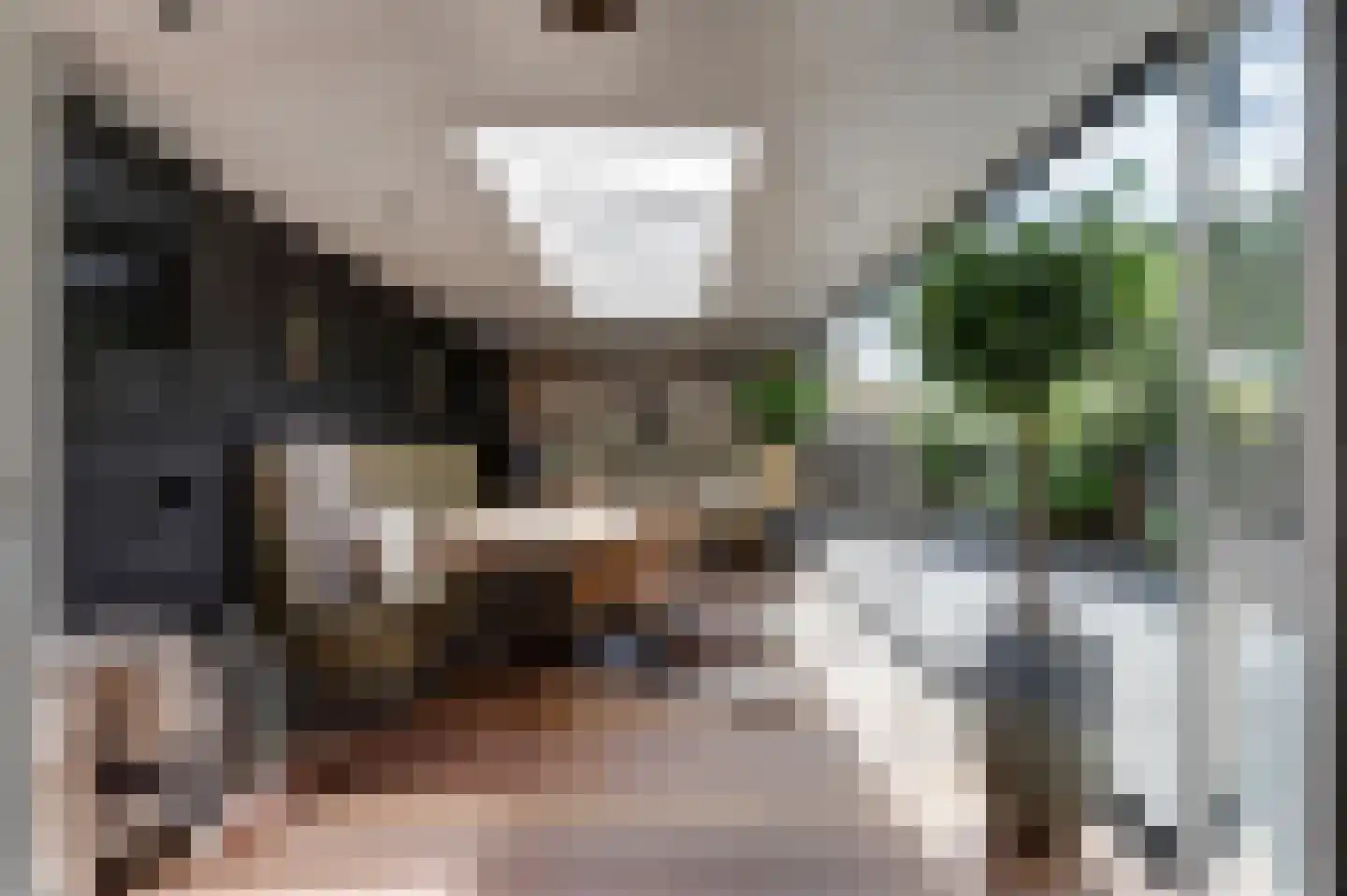 Goudplevier 1 Bodegraven thumbnail 26