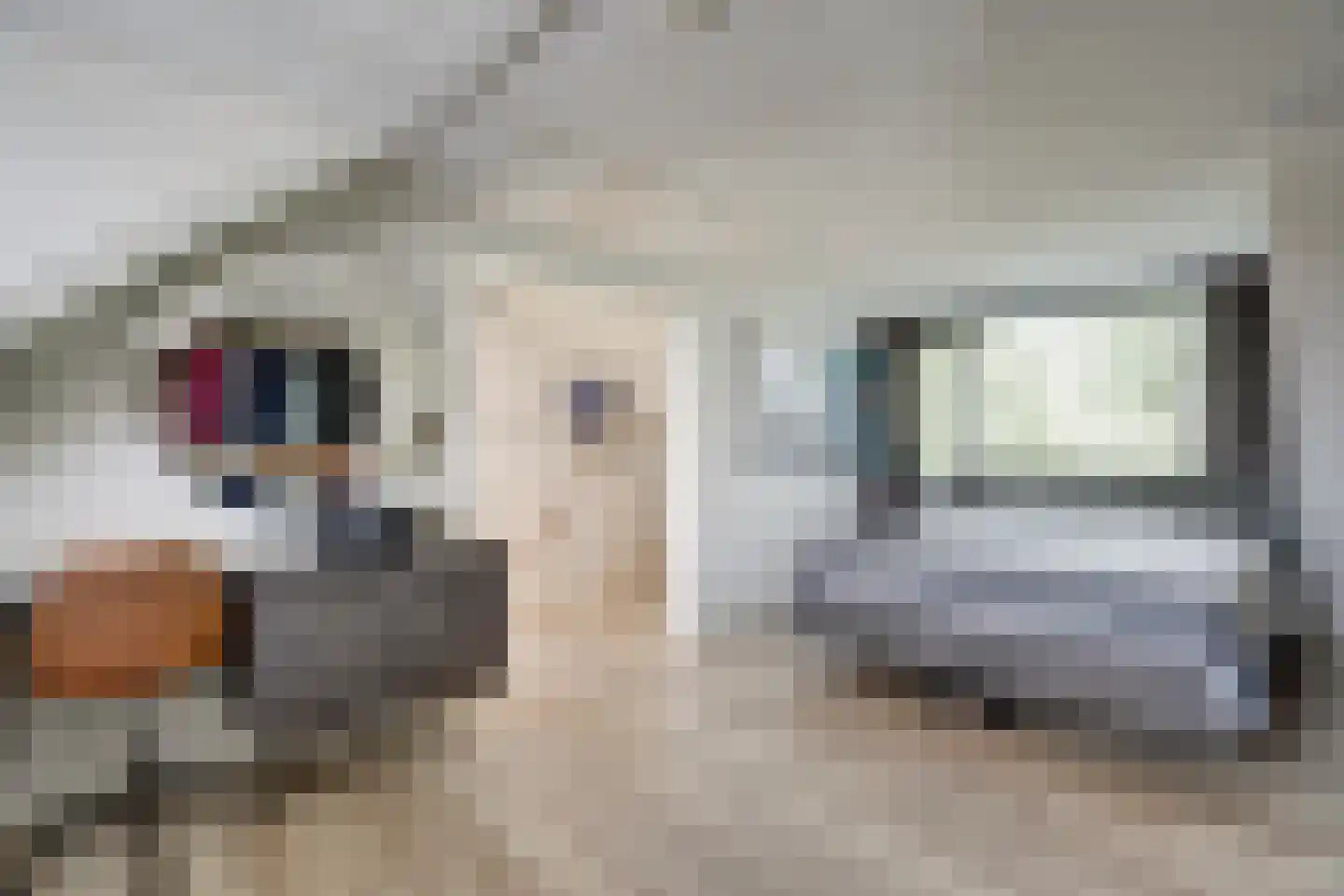 Goudplevier 1 Bodegraven thumbnail 42
