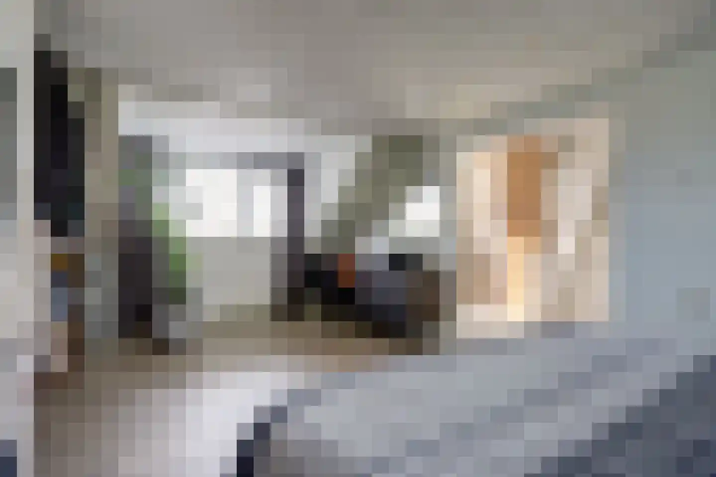 Goudplevier 1 Bodegraven thumbnail 43