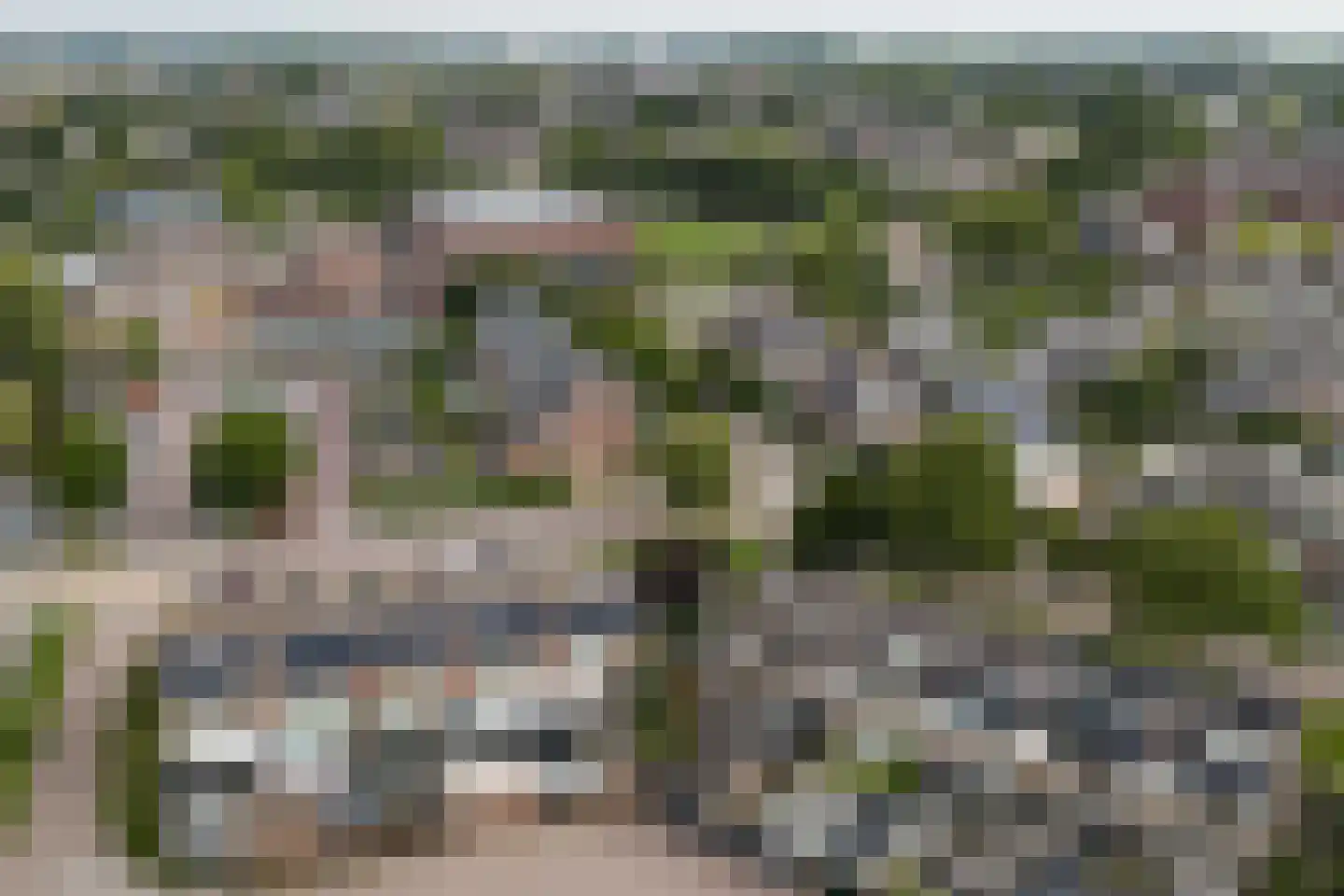 Goudplevier 1 Bodegraven thumbnail 55