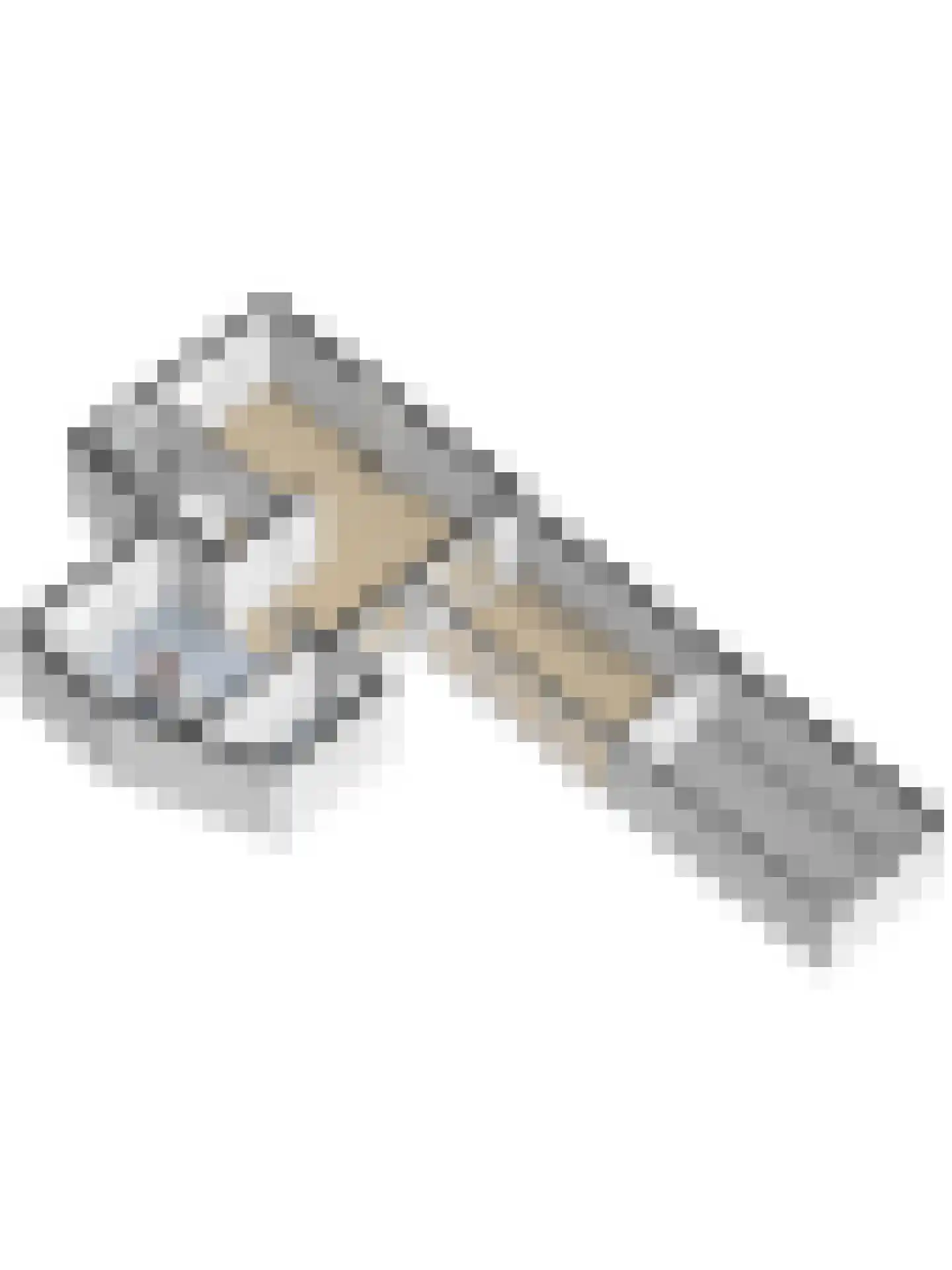 Goudplevier 1 Bodegraven thumbnail 60