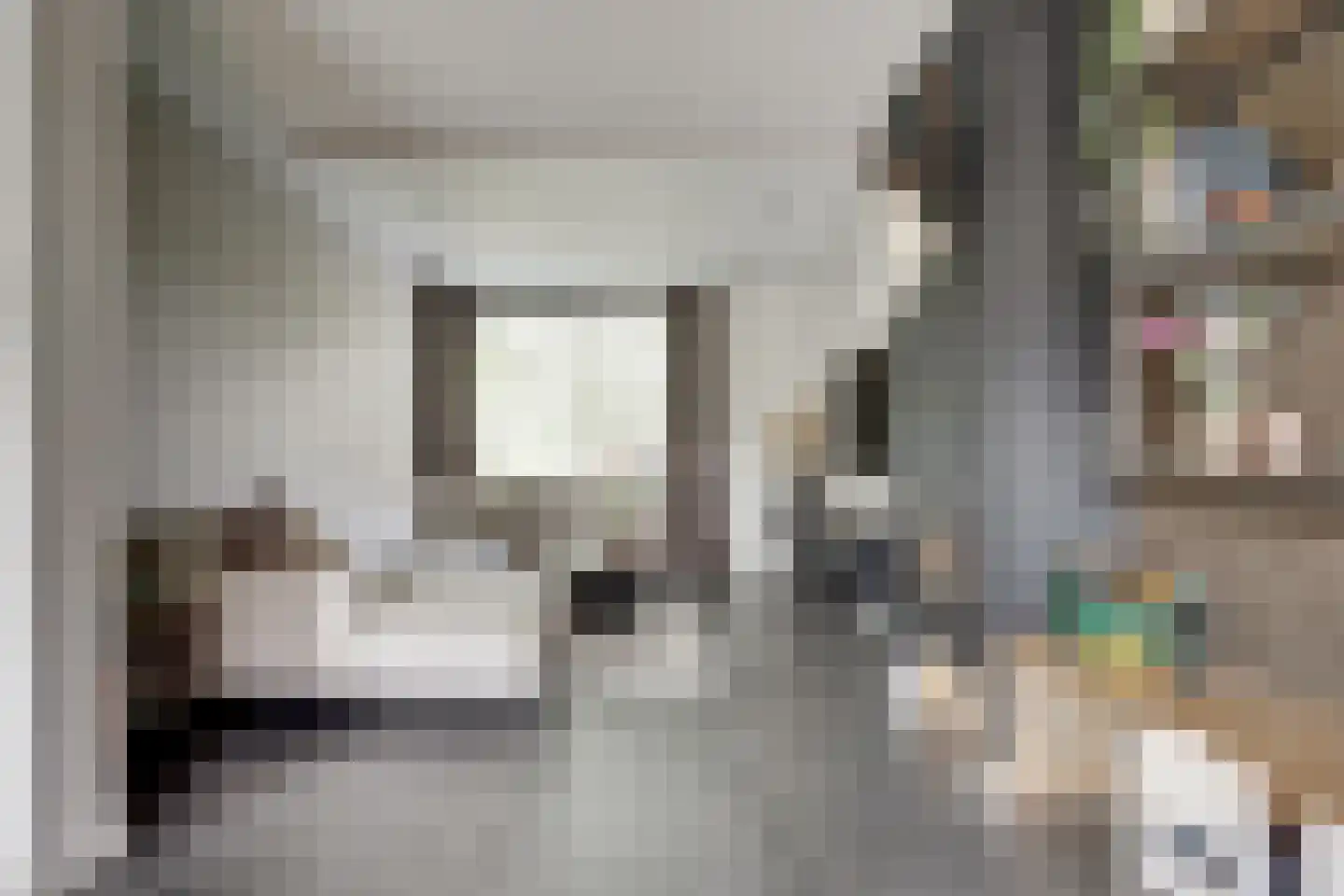 Goudplevier 1 Bodegraven thumbnail 8