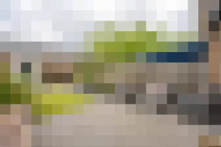 Goudplevier 10 Maurik thumbnail 29