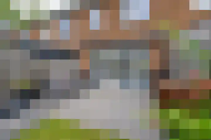 Goudplevier 10 Maurik thumbnail 30