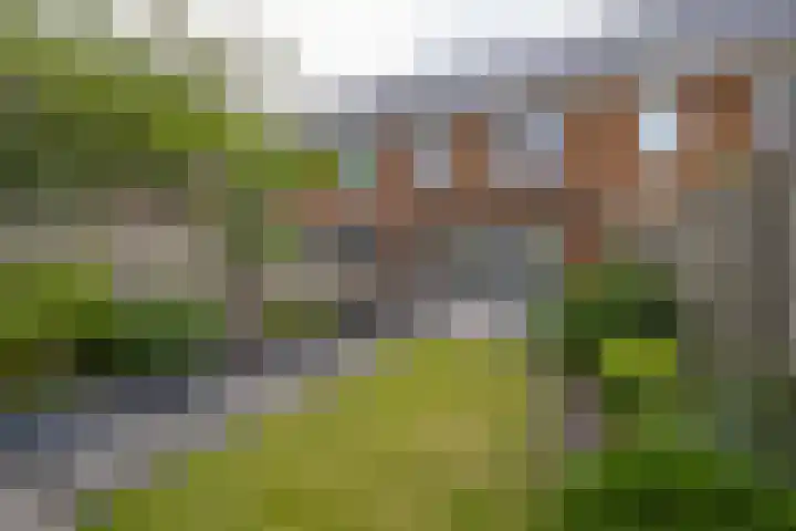 Goudplevier 10 Maurik thumbnail 36