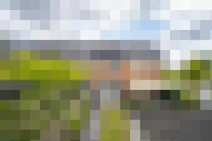 Goudplevier 10 Maurik thumbnail 37