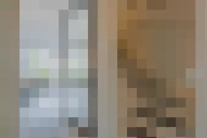 Goudplevier 10 Maurik thumbnail 38