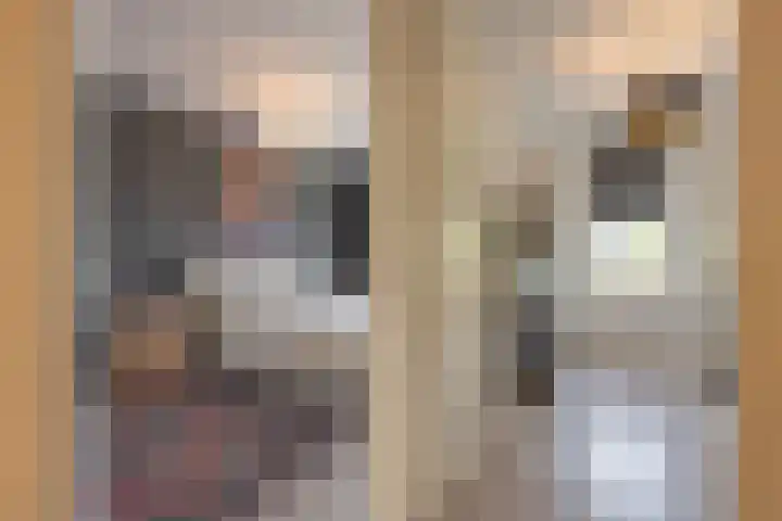Goudplevier 10 Maurik thumbnail 43