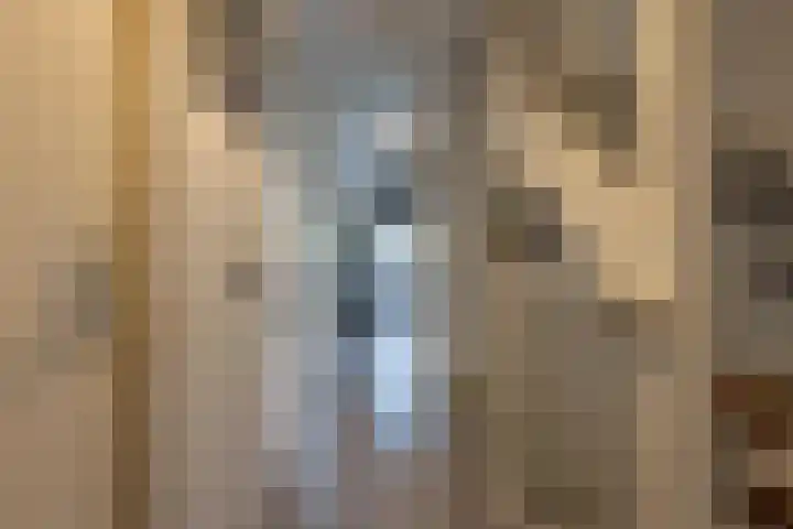 Goudplevier 10 Maurik thumbnail 51