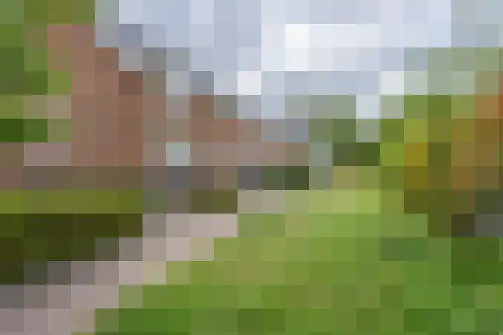 Goudplevier 10 Maurik thumbnail 55