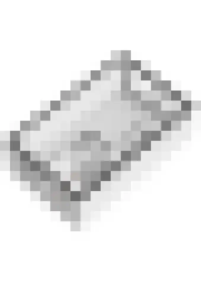 Goudplevier 10 Maurik thumbnail 57