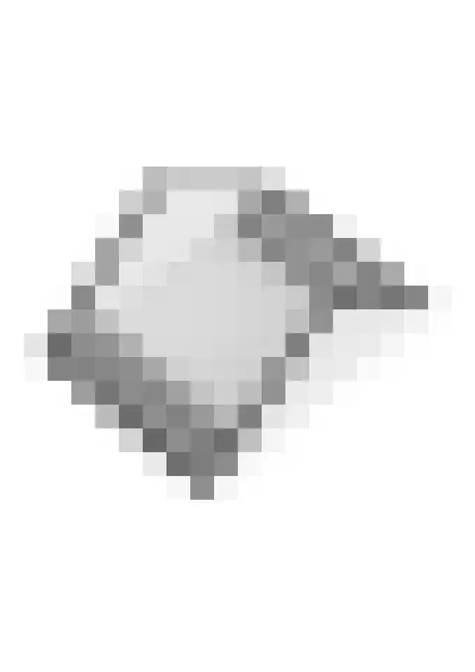Goudplevier 10 Maurik thumbnail 61
