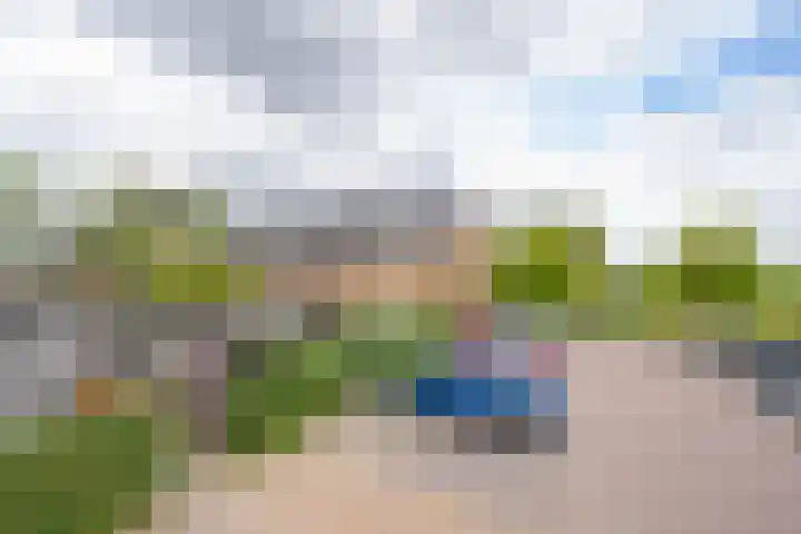 Goudplevier 10 Maurik thumbnail 7