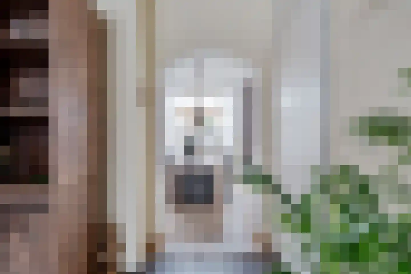 Goudplevier 101 Oss thumbnail 10