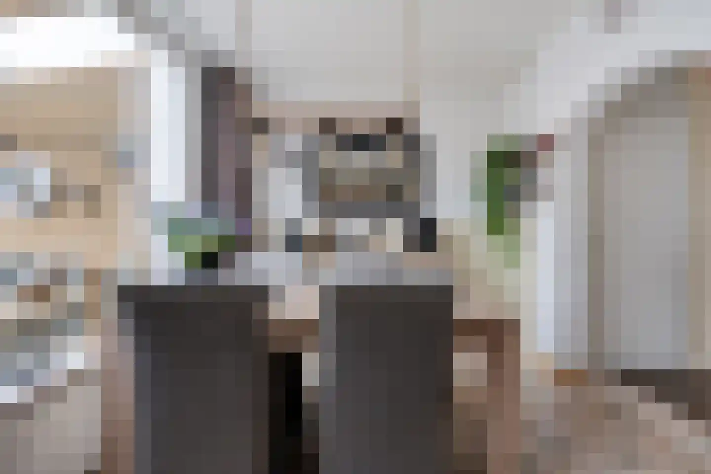 Goudplevier 101 Oss thumbnail 13