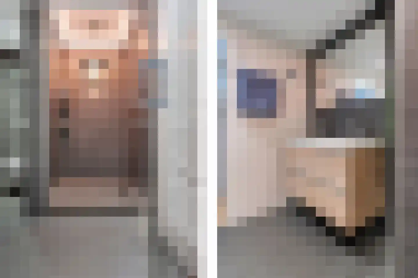Goudplevier 101 Oss thumbnail 20