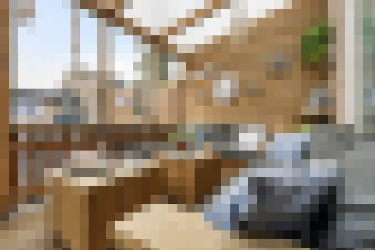 Goudplevier 101 Oss thumbnail 25