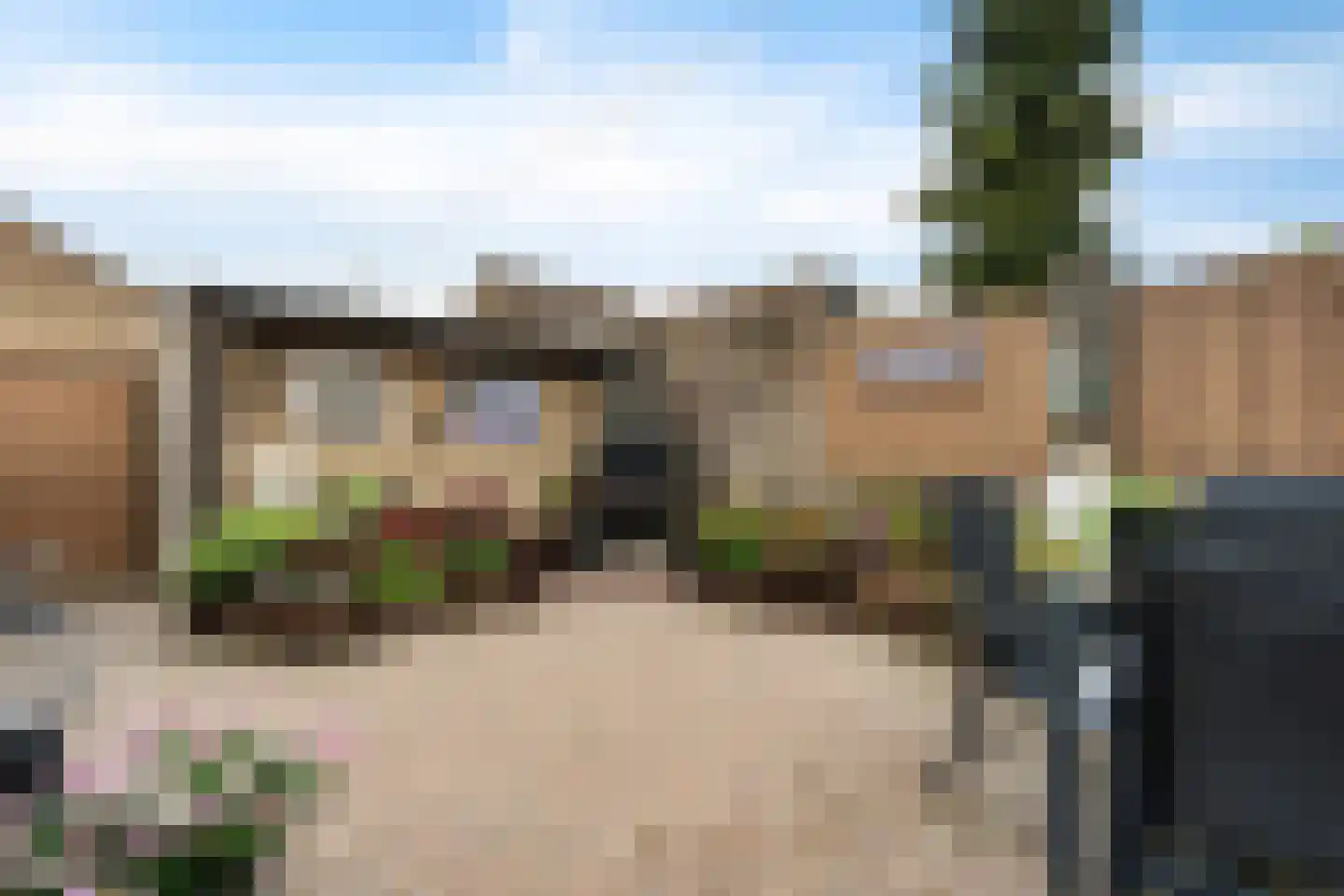 Goudplevier 101 Oss thumbnail 26