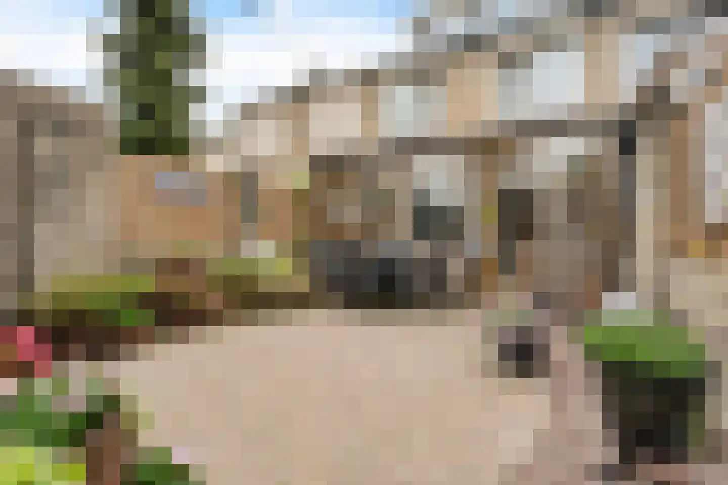 Goudplevier 101 Oss thumbnail 27
