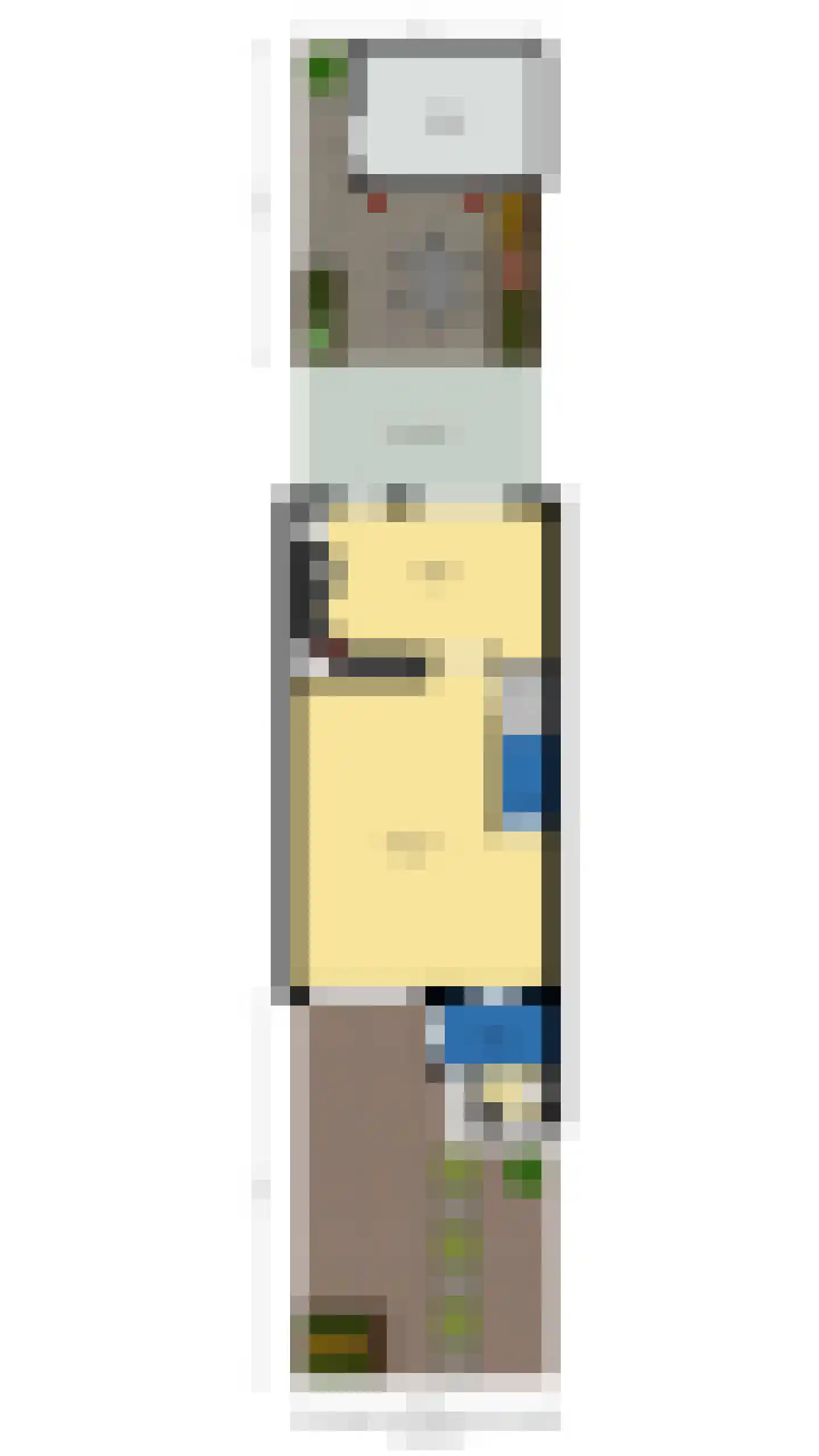 Goudplevier 101 Oss thumbnail 32