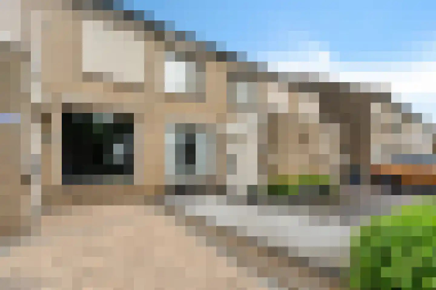 Goudplevier 101 Oss thumbnail 6