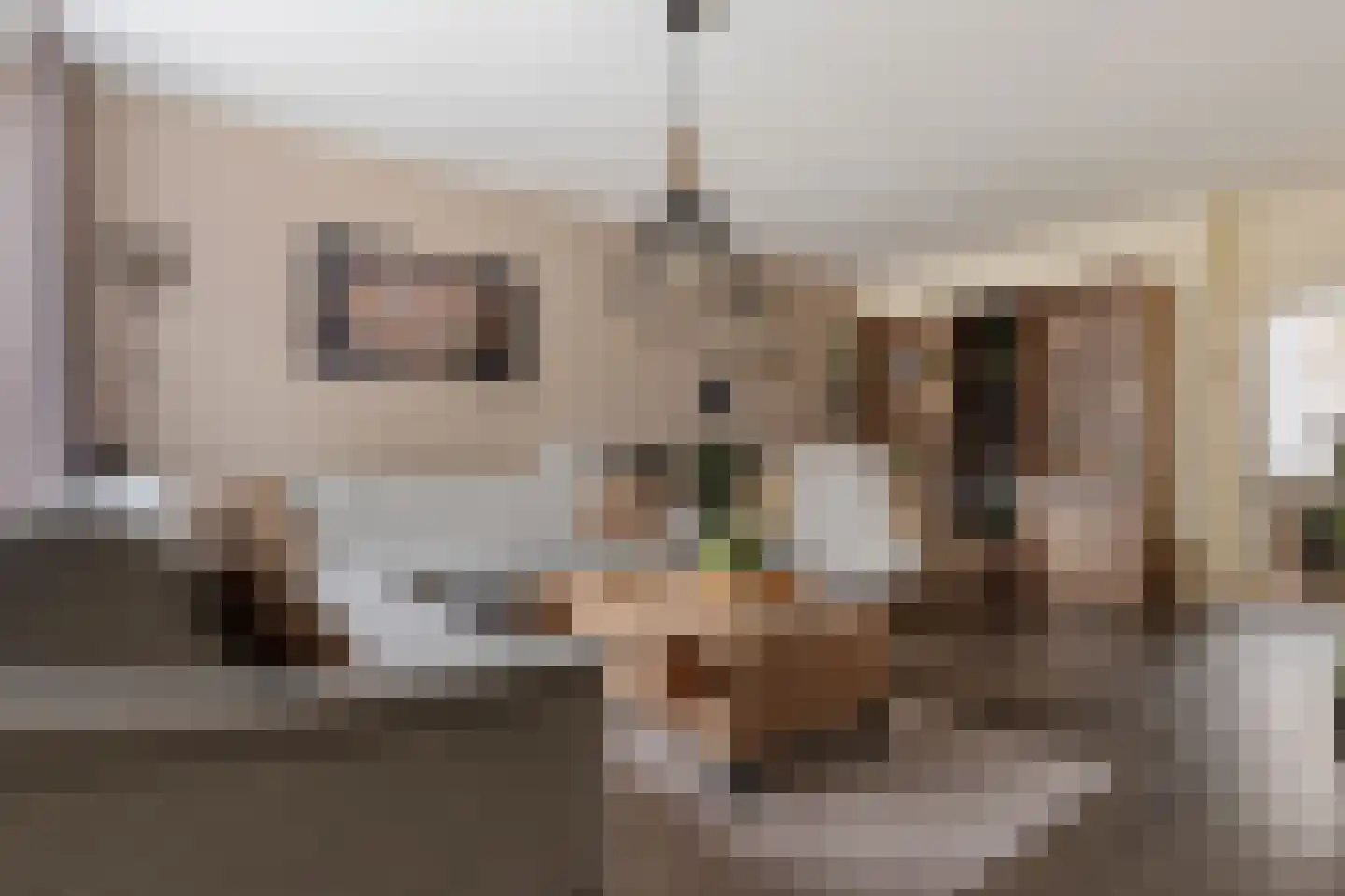 Goudplevier 101 Oss thumbnail 9