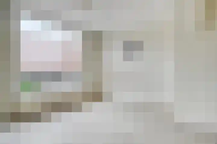 Goudplevier 127 Oss thumbnail 10