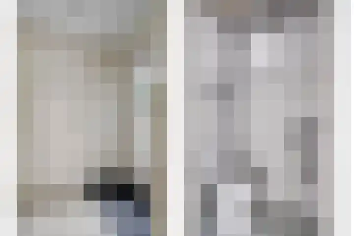 Goudplevier 127 Oss thumbnail 11