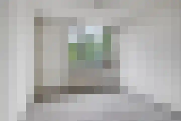 Goudplevier 127 Oss thumbnail 15
