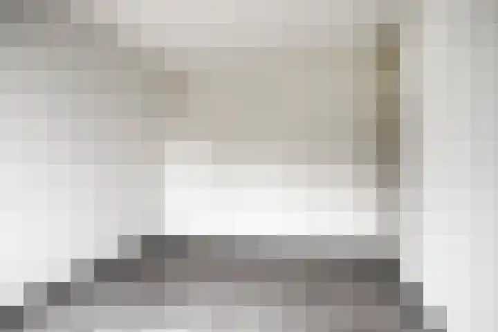 Goudplevier 127 Oss thumbnail 16