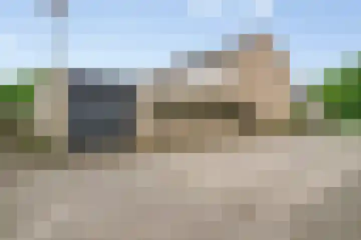 Goudplevier 127 Oss thumbnail 23