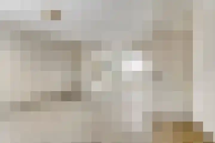 Goudplevier 127 Oss thumbnail 7
