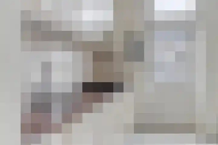 Goudplevier 127 Oss thumbnail 8