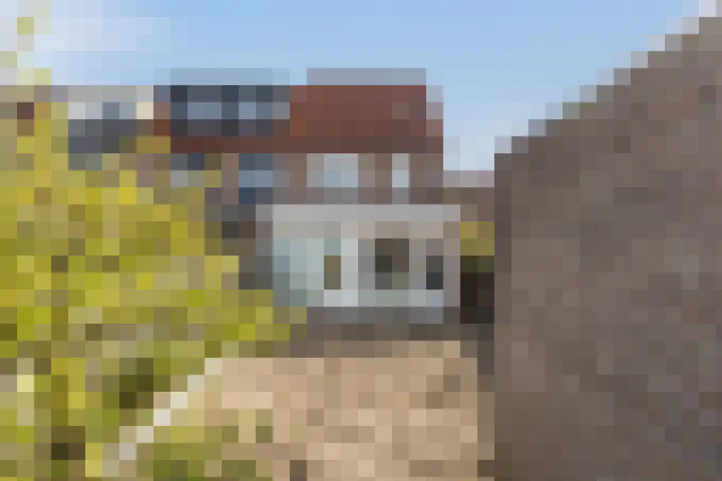 Goudplevier 14 IJsselstein thumbnail 5