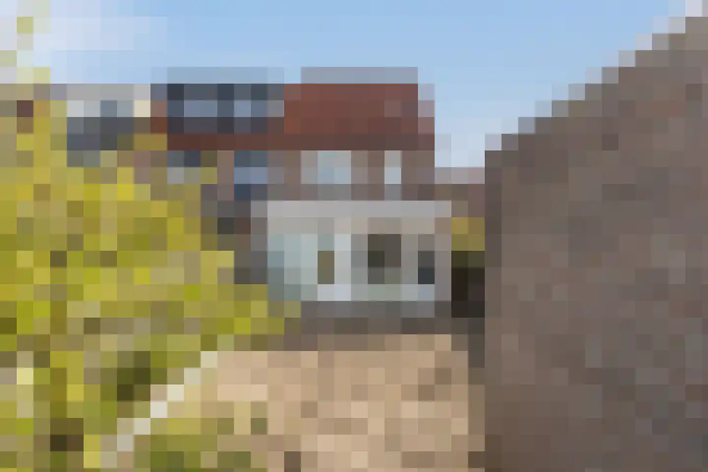 Goudplevier 14 IJsselstein thumbnail 5