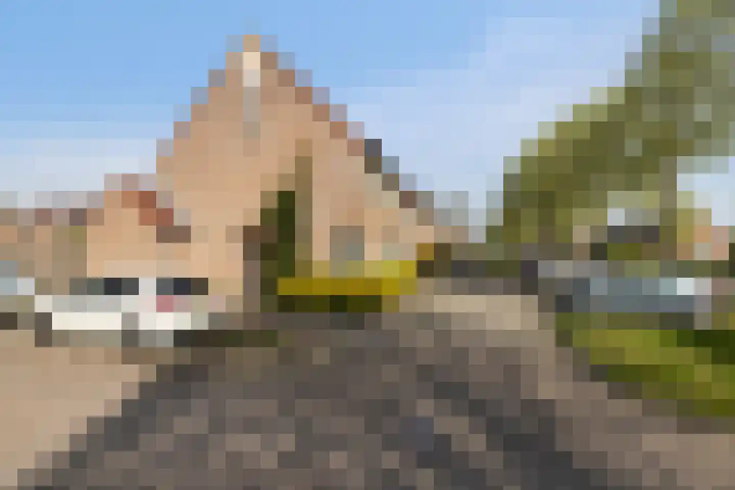 Goudplevier 14 IJsselstein thumbnail 6