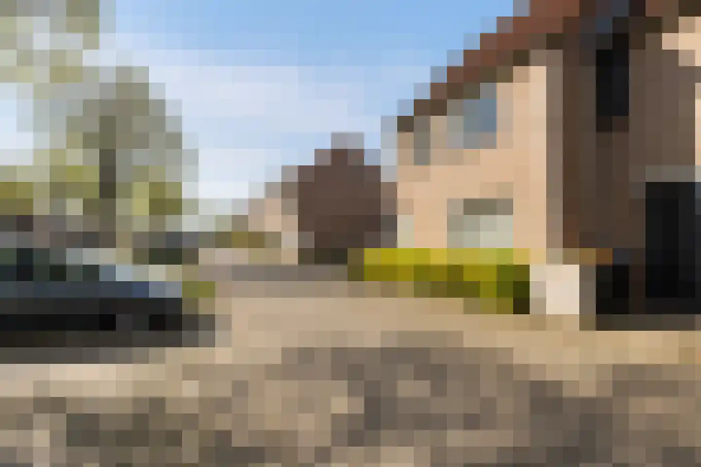 Goudplevier 14 IJsselstein thumbnail 7