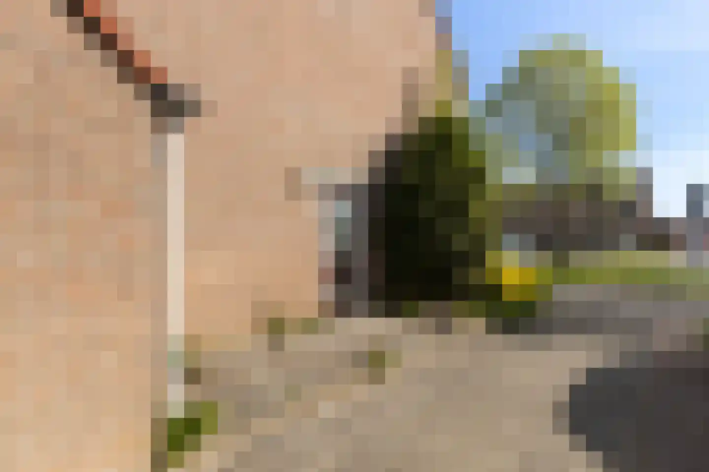 Goudplevier 14 IJsselstein thumbnail 8