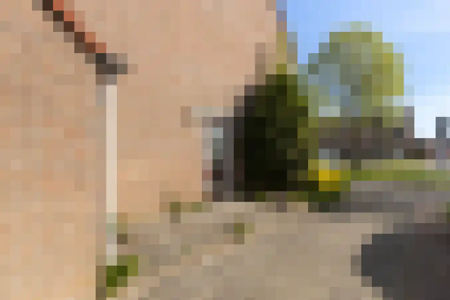Goudplevier 14 IJsselstein thumbnail 8