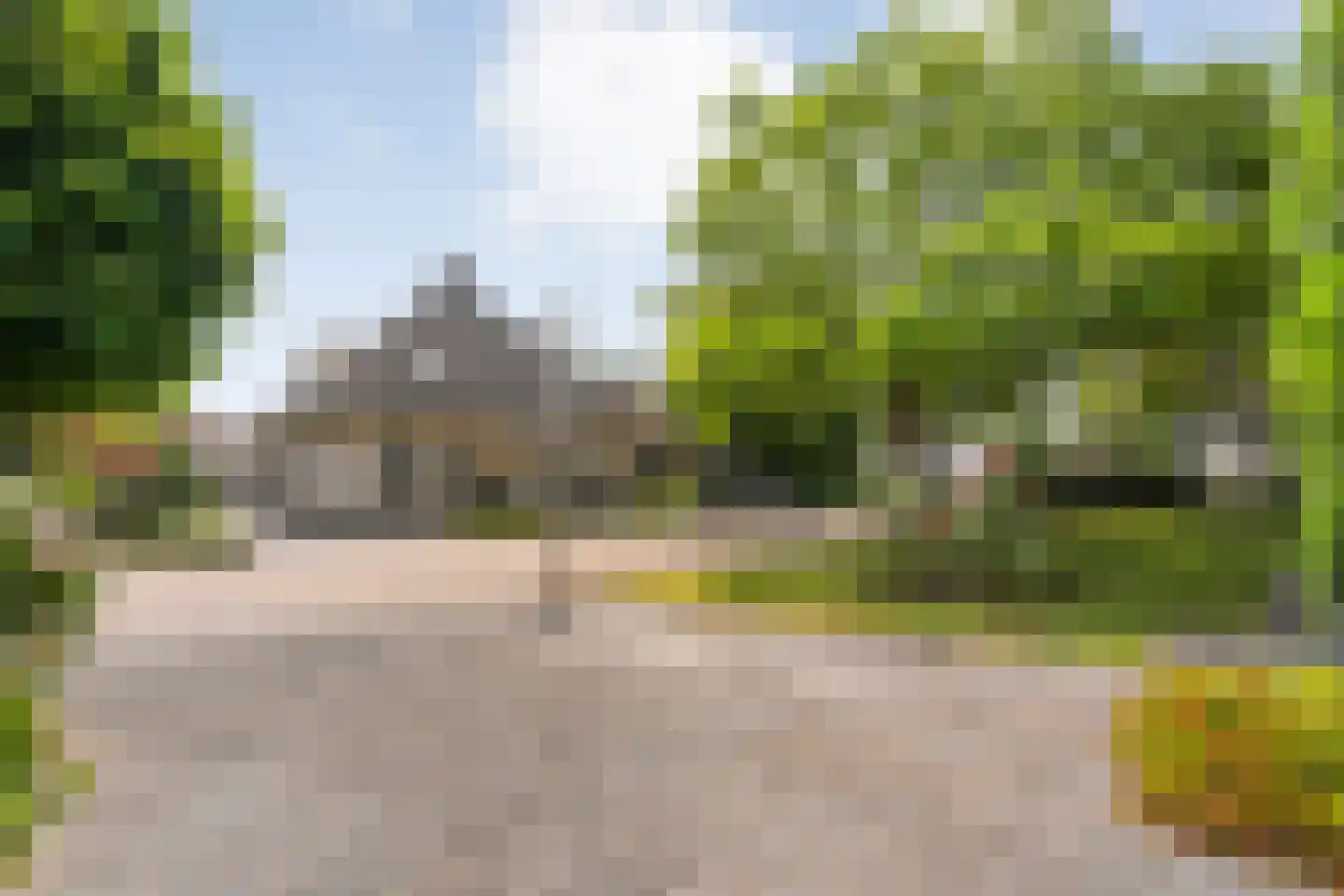 Goudplevier 14 Raalte thumbnail 10