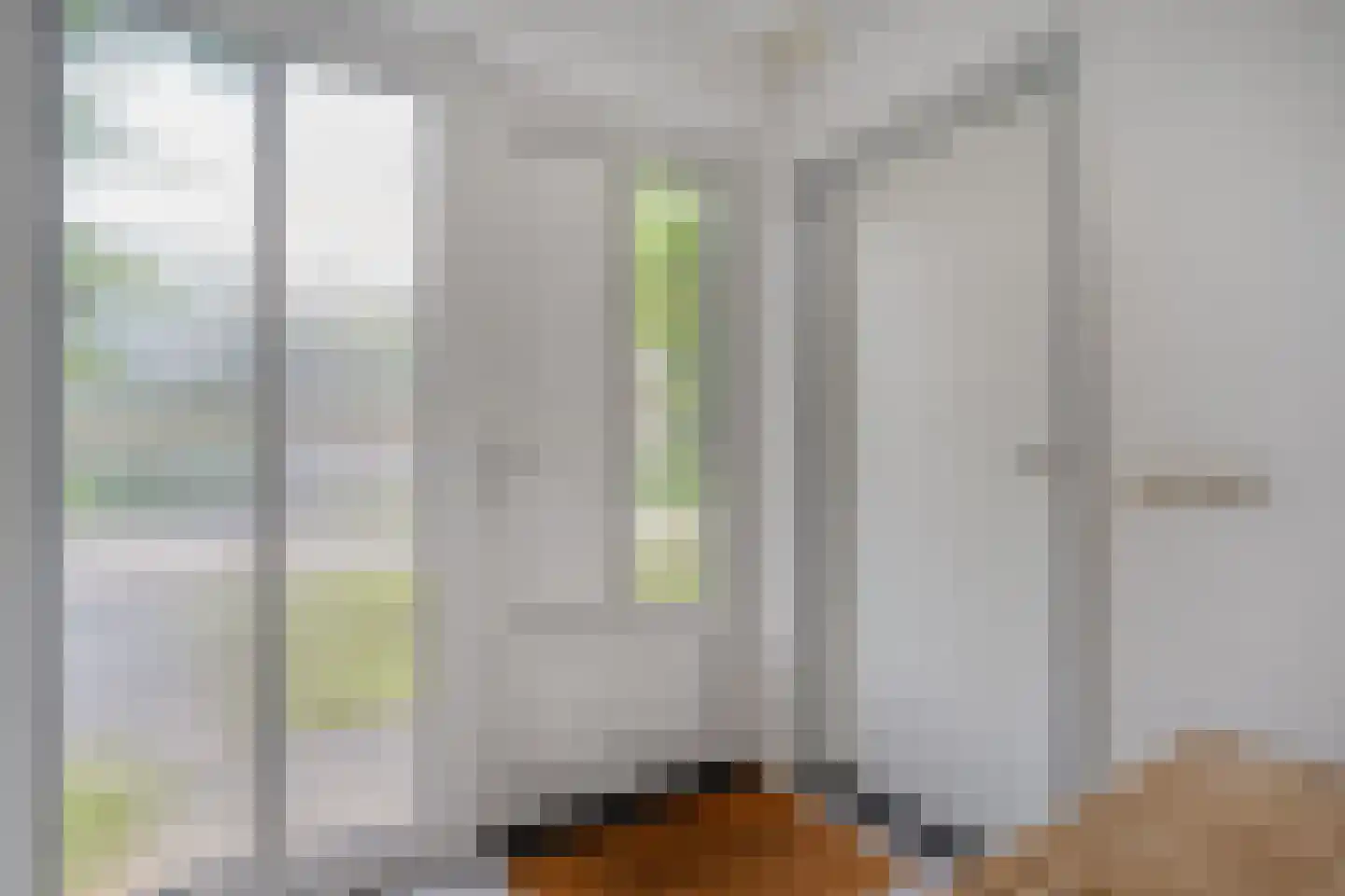 Goudplevier 14 Raalte thumbnail 13