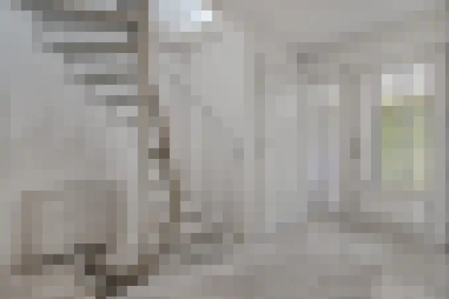 Goudplevier 14 Raalte thumbnail 14