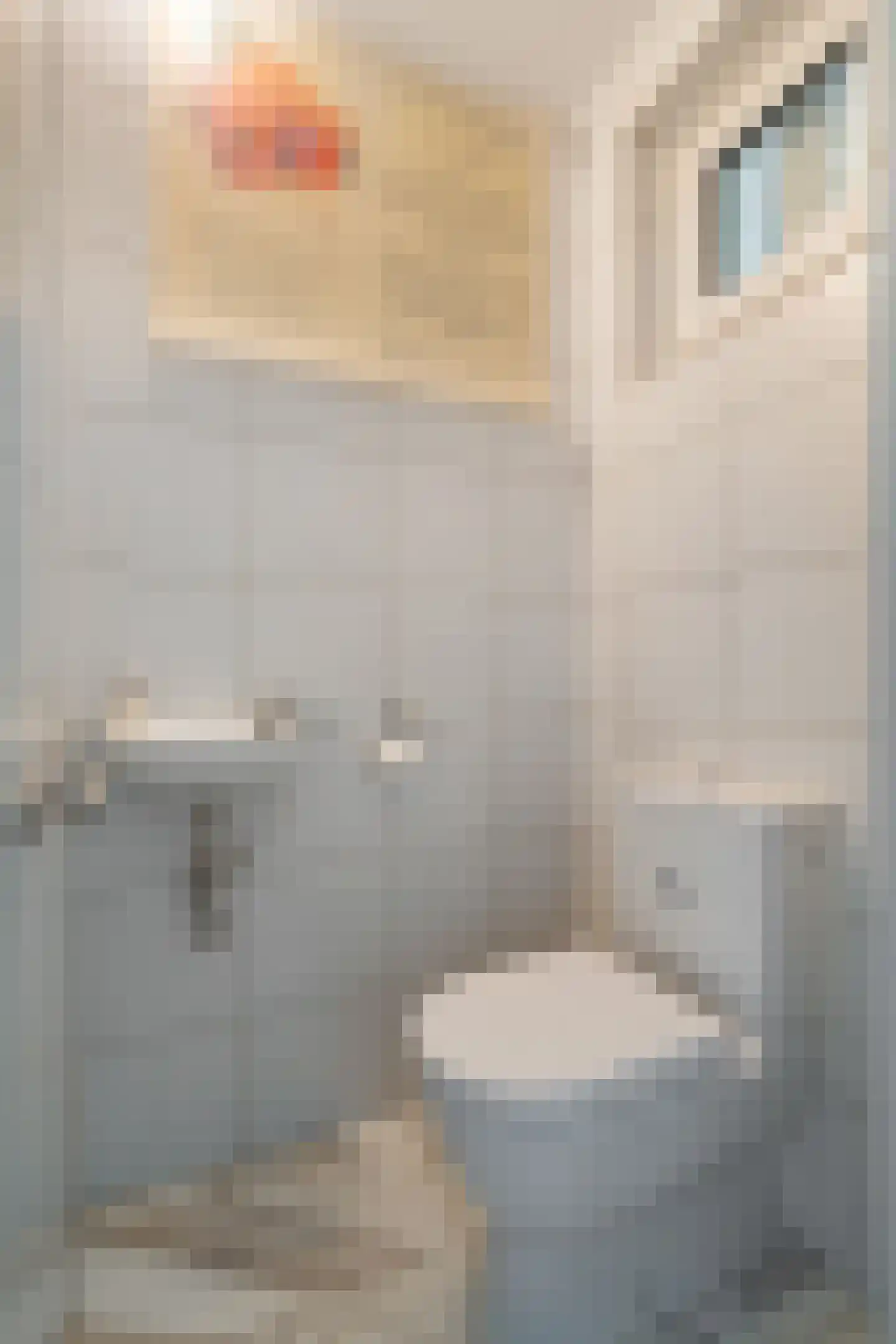 Goudplevier 14 Raalte thumbnail 15