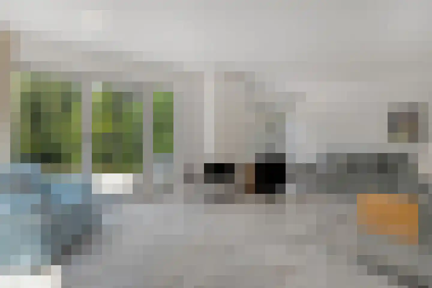 Goudplevier 14 Raalte thumbnail 16
