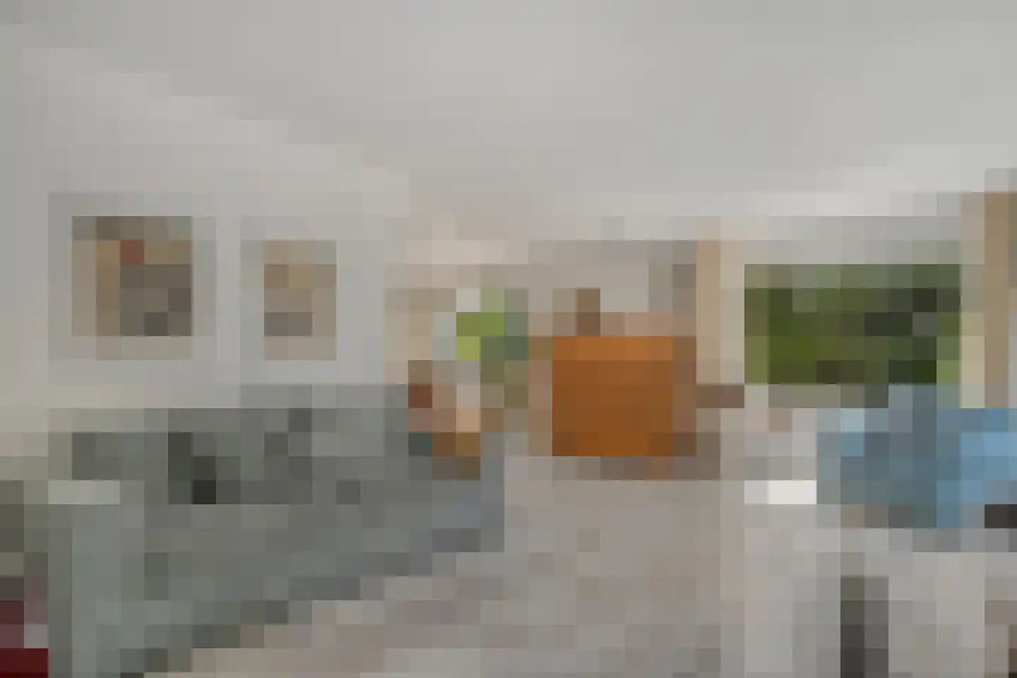 Goudplevier 14 Raalte thumbnail 17