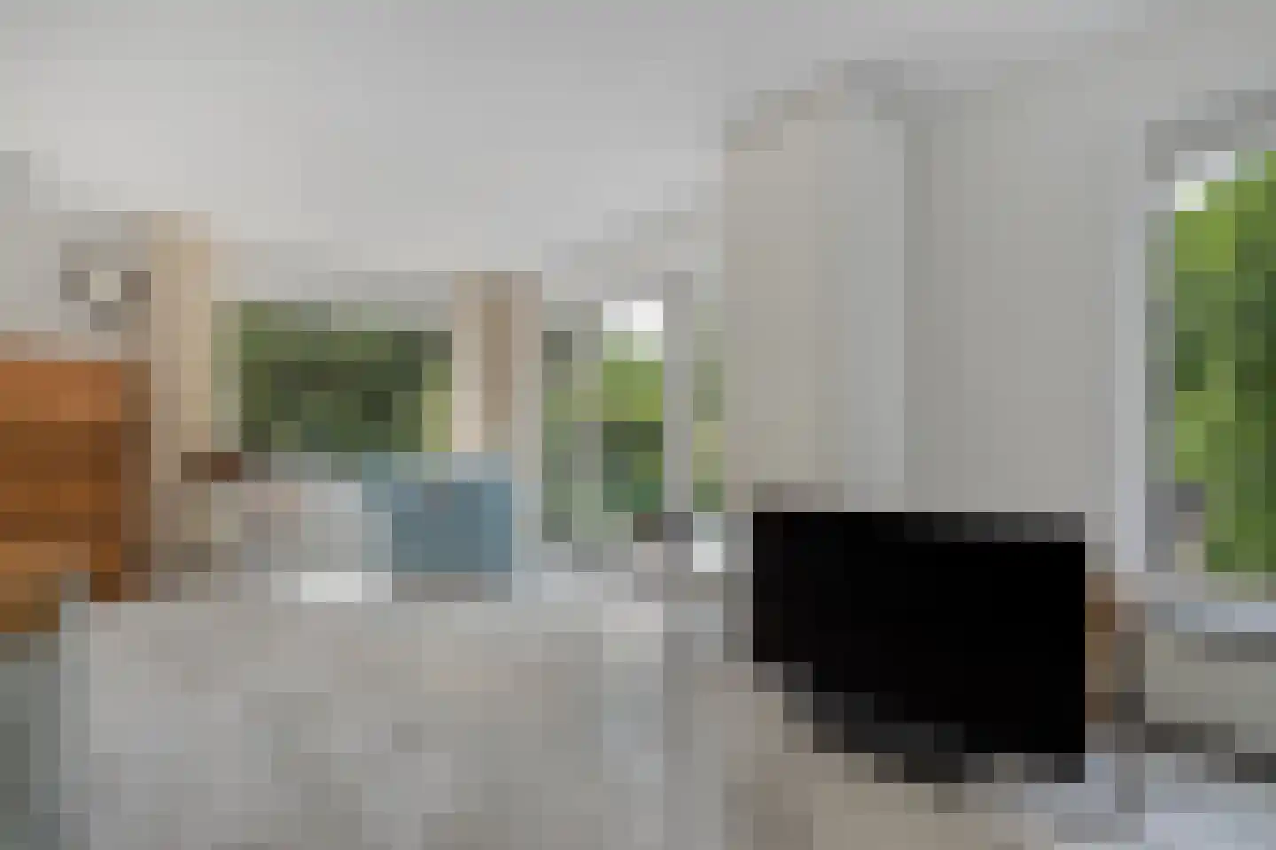 Goudplevier 14 Raalte thumbnail 18
